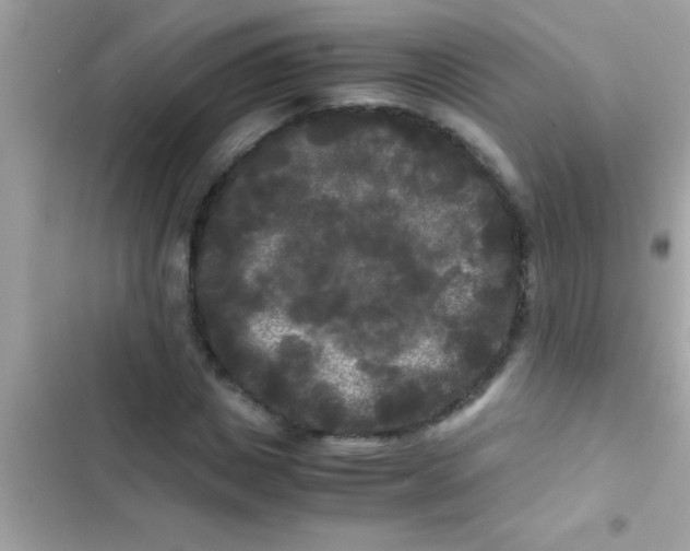 X0000103310825200809191915