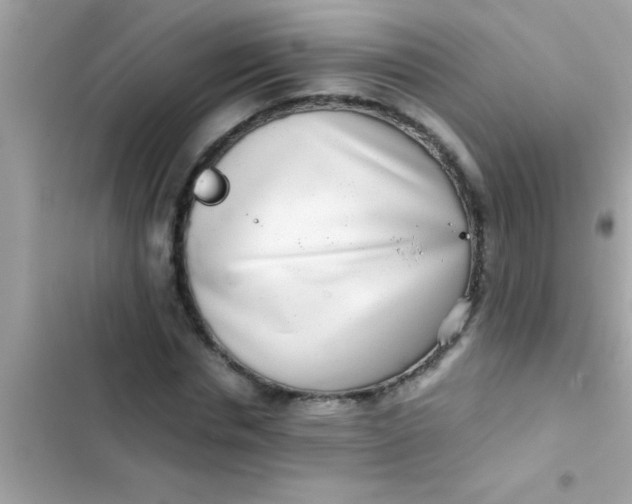 X0000103310826200809191916