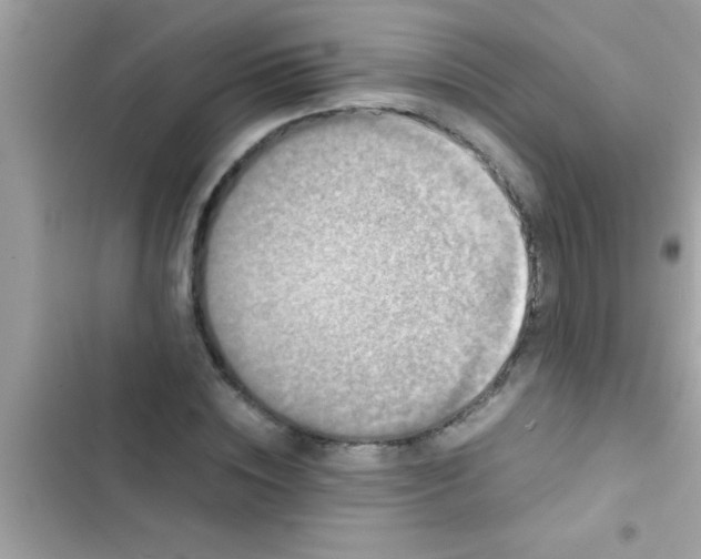 X0000103310828200809191916