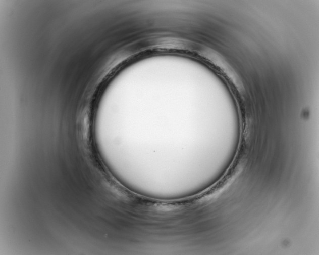 X0000103310829200809191916
