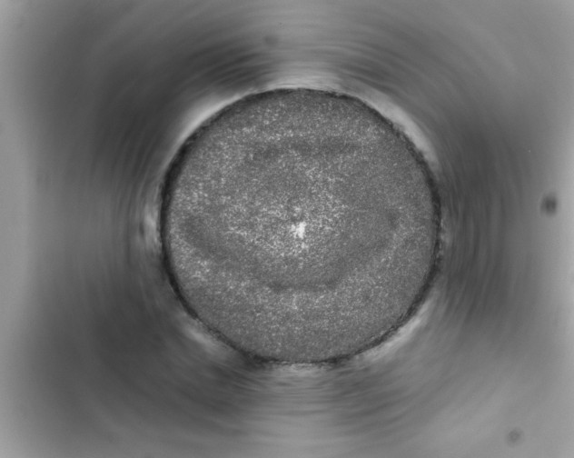 X0000103310830200809191916