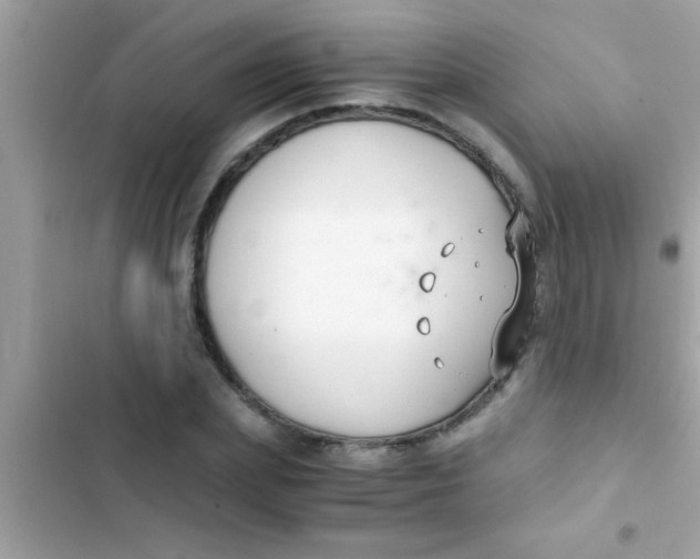 X0000103310831200809191916