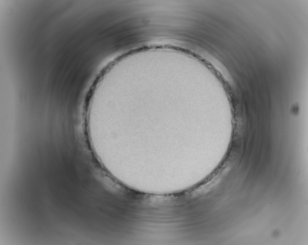 X0000103310832200809191916
