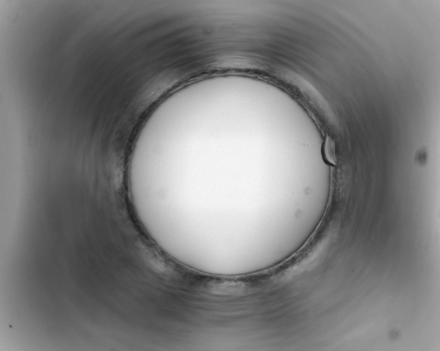 X0000103310833200809191916