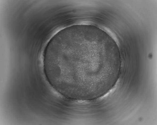 X0000103310835200809191916