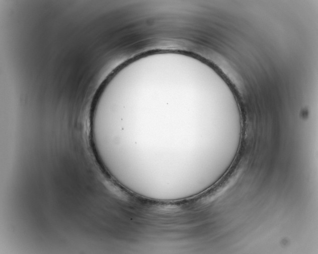 X0000103310837200809191916