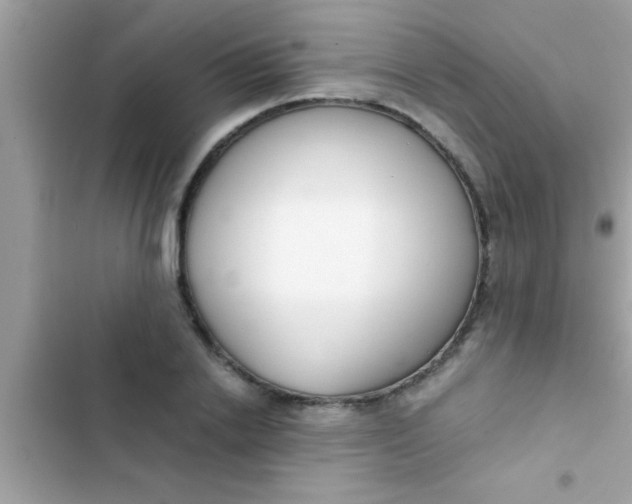 X0000103310838200809191916