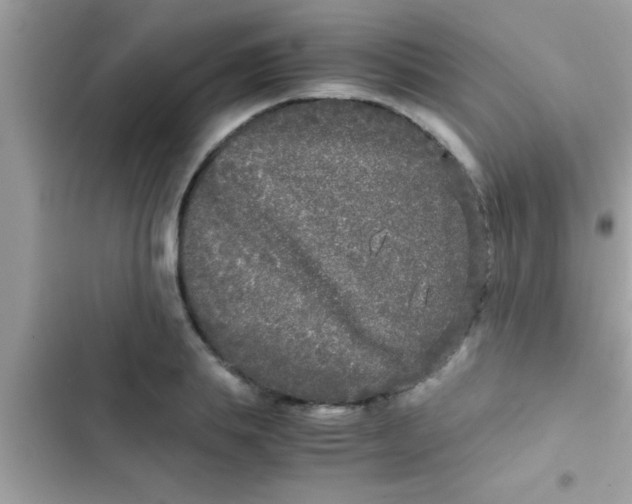 X0000103310839200809191916