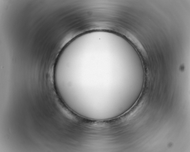 X0000103310842200809191916