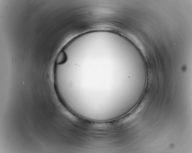X0000103310843200809191916