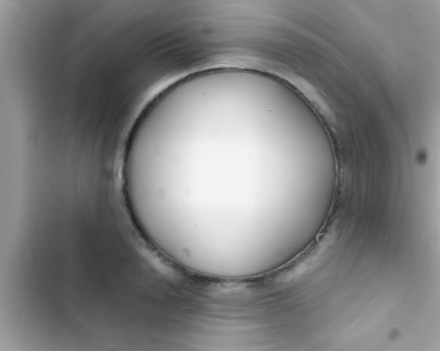 X0000103310846200809191916