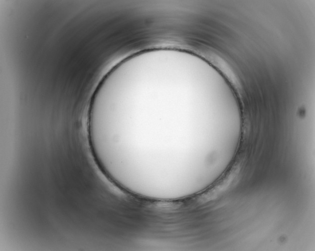 X0000103310847200809191916