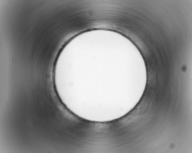 X0000103310848200809191916