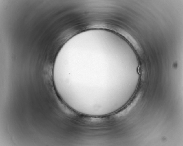 X0000103310849200809191916