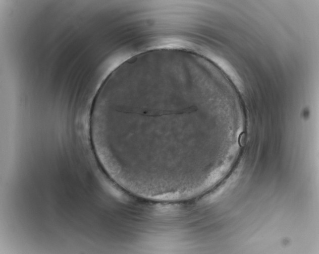 X0000103310850200809191916