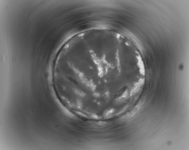X0000103310851200809191916