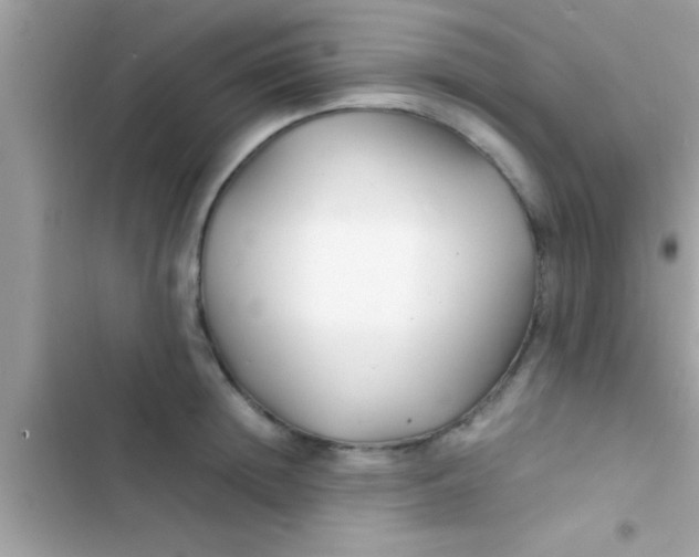 X0000103310852200809191916