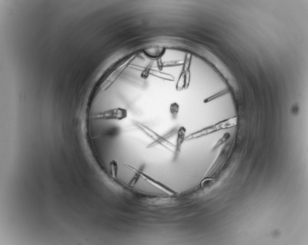 X0000103310853200809191916