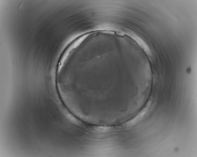 X0000103310854200809191916