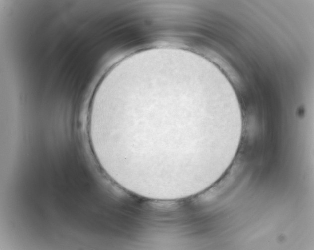 X0000103310856200809191916