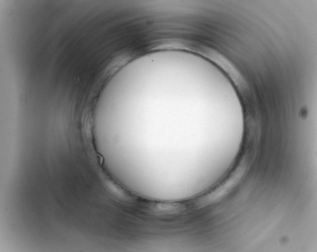 X0000103310857200809191916