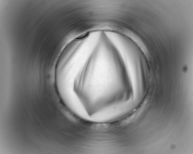 X0000103310858200809191916