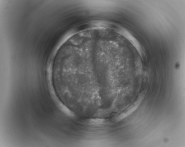 X0000103310859200809191916