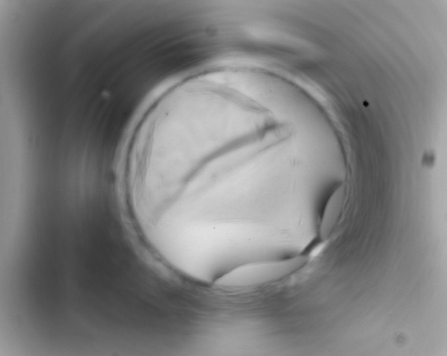 X0000103310864200809191916
