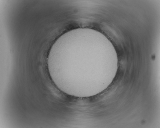 X0000103310865200809191915