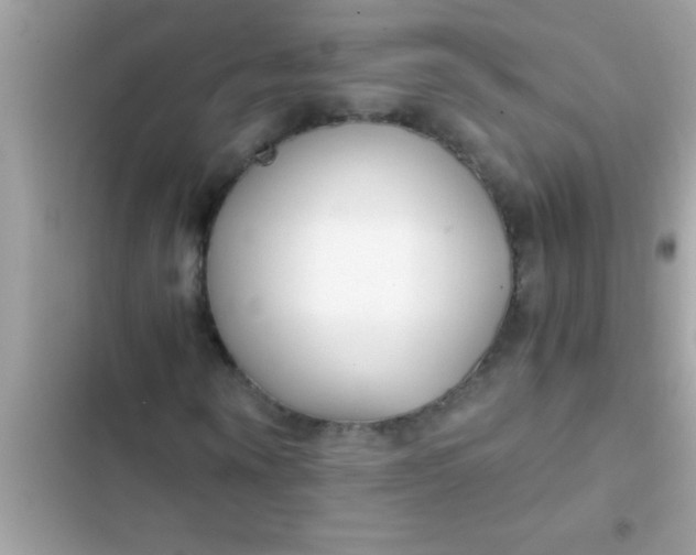 X0000103310866200809191915