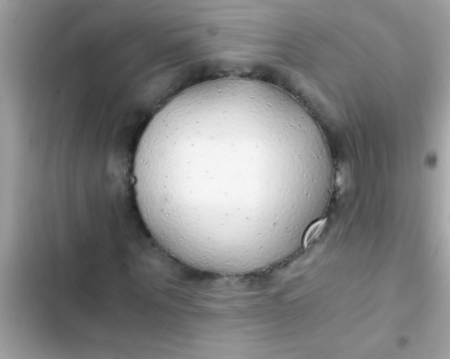 X0000103310867200809191915