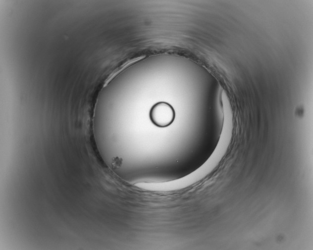 X0000103310868200809191915