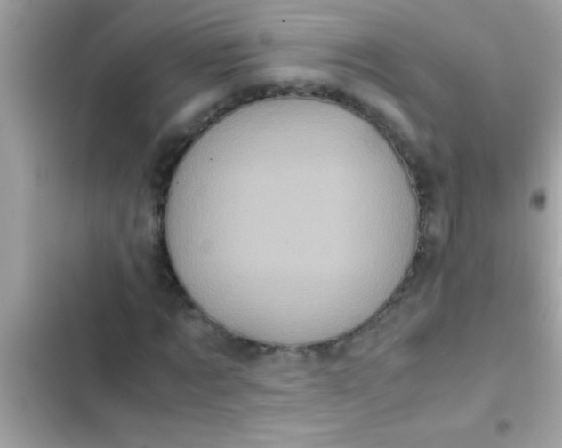 X0000103310869200809191915