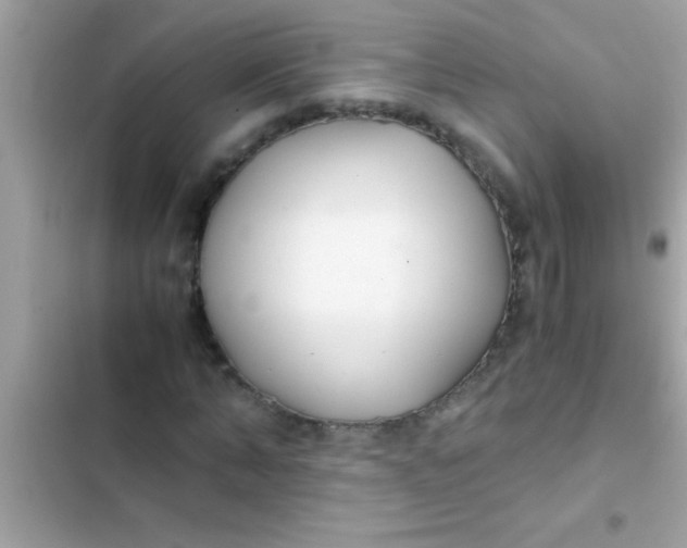 X0000103310870200809191915