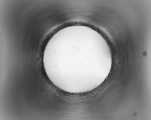 X0000103310872200809191915