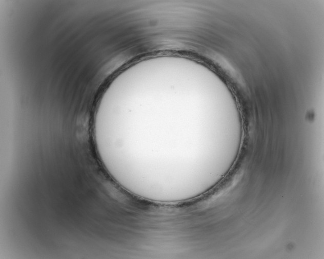 X0000103310873200809191915