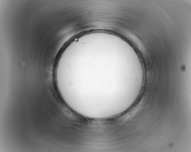 X0000103310875200809191915