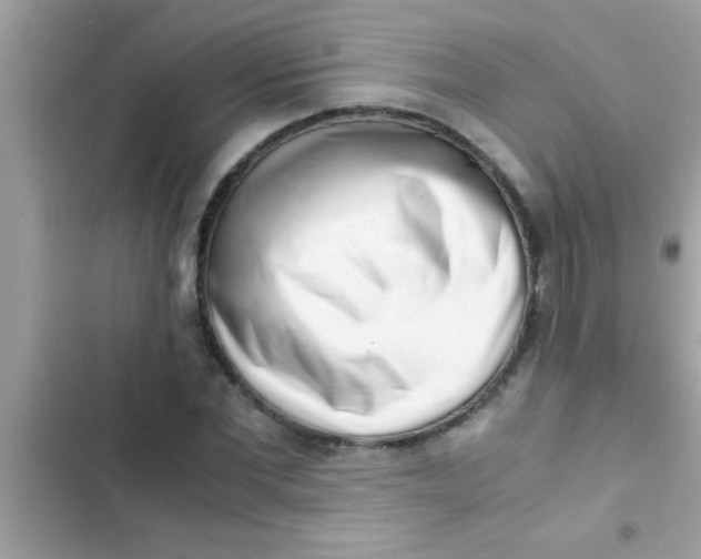 X0000103310877200809191915
