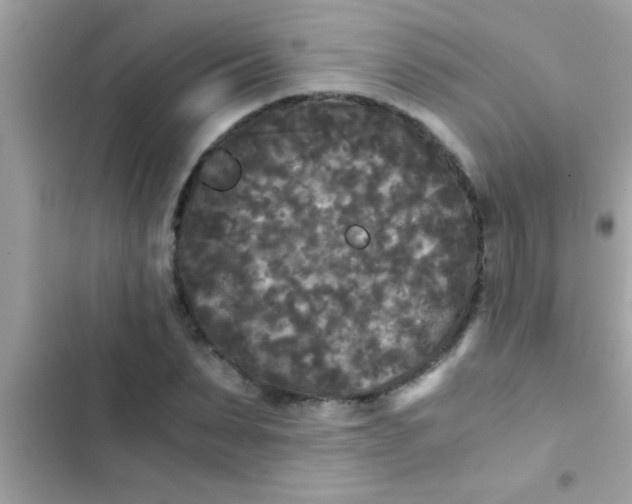 X0000103310879200809191915