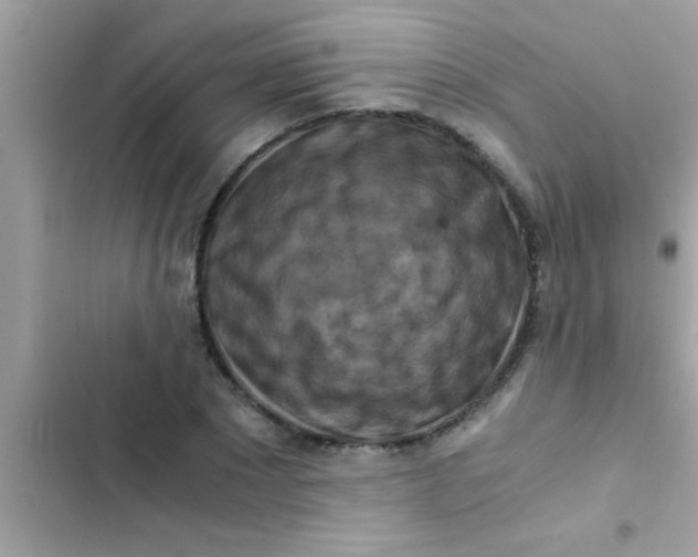 X0000103310881200809191915