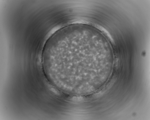 X0000103310882200809191915