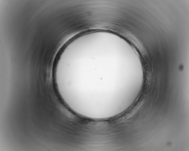 X0000103310884200809191915
