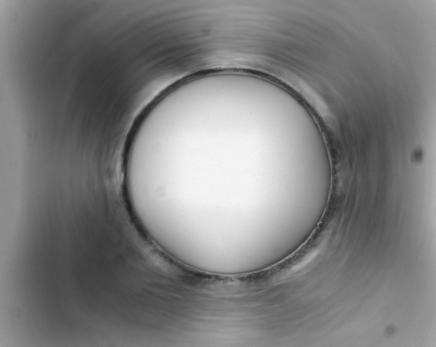 X0000103310885200809191915