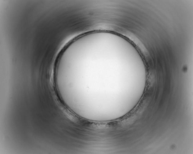 X0000103310886200809191915