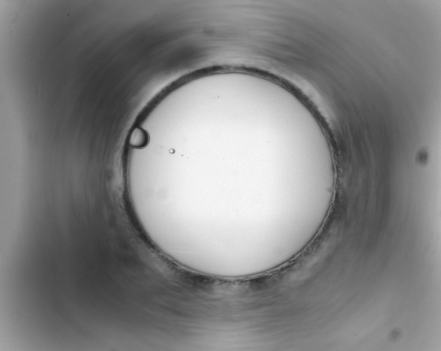 X0000103310887200809191915
