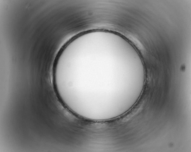X0000103310888200809191915