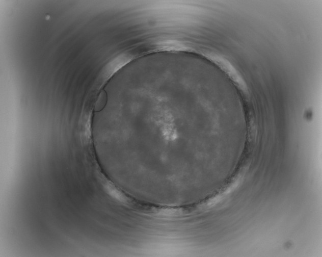 X0000103310889200809191915