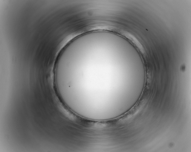 X0000103310890200809191915