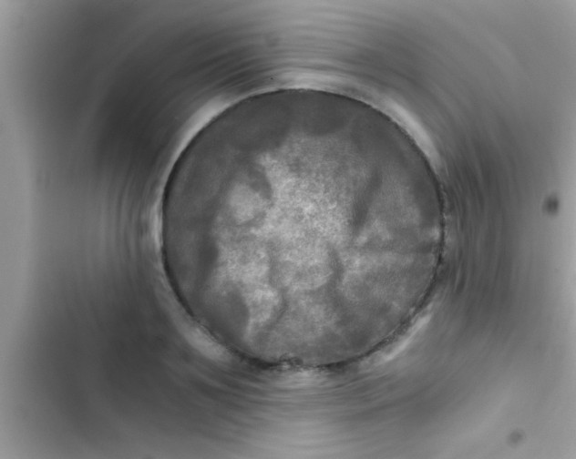X0000103310891200809191915