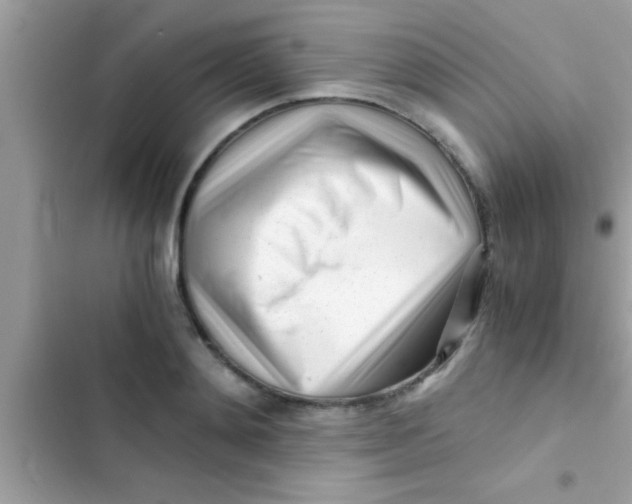 X0000103310892200809191915